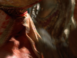 extant_XenaWarriorPrincess_2x16-ForHimtheBellTolls_03254