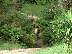 extant_XenaWarriorPrincess_2x16-ForHimtheBellTolls_03723
