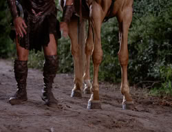 extant_XenaWarriorPrincess_3x01-TheFuries_00363