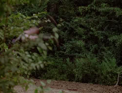 extant_XenaWarriorPrincess_3x01-TheFuries_00367