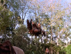 extant_XenaWarriorPrincess_3x01-TheFuries_00689