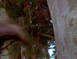 extant_XenaWarriorPrincess_3x01-TheFuries_00716