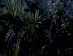 extant_XenaWarriorPrincess_3x01-TheFuries_00954
