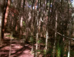 extant_XenaWarriorPrincess_3x01-TheFuries_01219