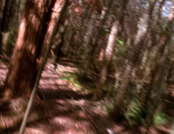 extant_XenaWarriorPrincess_3x01-TheFuries_01220