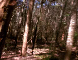 extant_XenaWarriorPrincess_3x01-TheFuries_01221