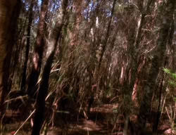 extant_XenaWarriorPrincess_3x01-TheFuries_01222