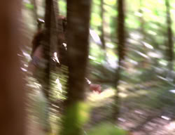 extant_XenaWarriorPrincess_3x01-TheFuries_01227