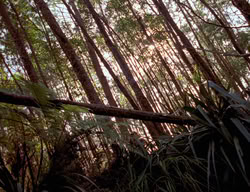 extant_XenaWarriorPrincess_3x01-TheFuries_01238