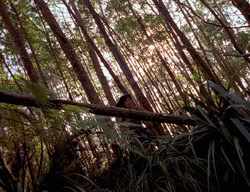 extant_XenaWarriorPrincess_3x01-TheFuries_01239