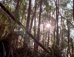 extant_XenaWarriorPrincess_3x01-TheFuries_01241
