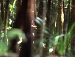 extant_XenaWarriorPrincess_3x01-TheFuries_01269
