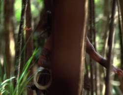 extant_XenaWarriorPrincess_3x01-TheFuries_01273