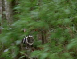 extant_XenaWarriorPrincess_3x01-TheFuries_01285