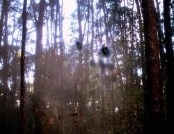 extant_XenaWarriorPrincess_3x01-TheFuries_01295