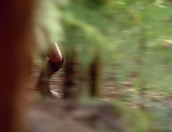 extant_XenaWarriorPrincess_3x01-TheFuries_01304