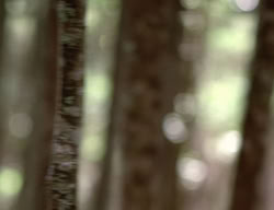 extant_XenaWarriorPrincess_3x01-TheFuries_01315