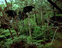 extant_XenaWarriorPrincess_3x01-TheFuries_01323