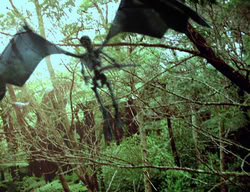 extant_XenaWarriorPrincess_3x01-TheFuries_01324