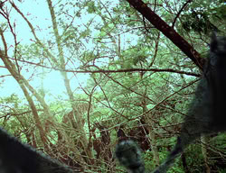 extant_XenaWarriorPrincess_3x01-TheFuries_01327