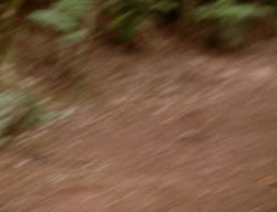 extant_XenaWarriorPrincess_3x01-TheFuries_01362