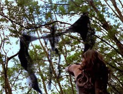 extant_XenaWarriorPrincess_3x01-TheFuries_01370