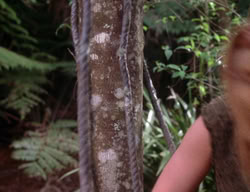 extant_XenaWarriorPrincess_3x01-TheFuries_01469