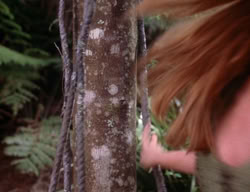 extant_XenaWarriorPrincess_3x01-TheFuries_01472