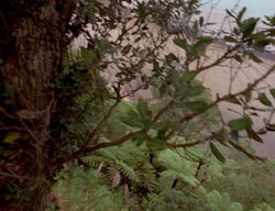 extant_XenaWarriorPrincess_3x01-TheFuries_02122