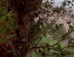 extant_XenaWarriorPrincess_3x01-TheFuries_02123