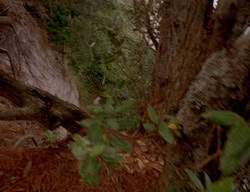 extant_XenaWarriorPrincess_3x01-TheFuries_02125