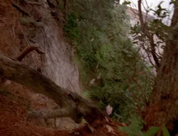 extant_XenaWarriorPrincess_3x01-TheFuries_02126