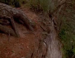 extant_XenaWarriorPrincess_3x01-TheFuries_02129