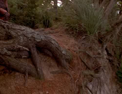 extant_XenaWarriorPrincess_3x01-TheFuries_02130