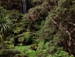 extant_XenaWarriorPrincess_3x01-TheFuries_03417
