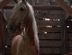 extant_XenaWarriorPrincess_3x02-BeenThereDoneThat_00017