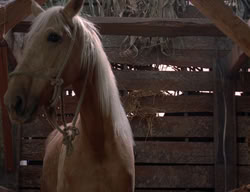 extant_XenaWarriorPrincess_3x02-BeenThereDoneThat_00018