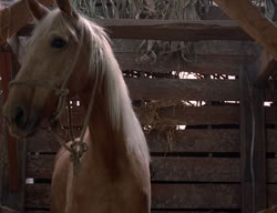 extant_XenaWarriorPrincess_3x02-BeenThereDoneThat_00019