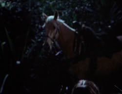 extant_XenaWarriorPrincess_3x02-BeenThereDoneThat_00370