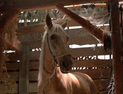 extant_XenaWarriorPrincess_3x02-BeenThereDoneThat_01117
