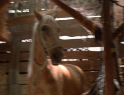 extant_XenaWarriorPrincess_3x02-BeenThereDoneThat_01118