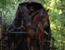 extant_XenaWarriorPrincess_3x02-BeenThereDoneThat_01368