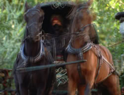extant_XenaWarriorPrincess_3x02-BeenThereDoneThat_01370