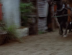 extant_XenaWarriorPrincess_3x02-BeenThereDoneThat_01374