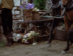 extant_XenaWarriorPrincess_3x02-BeenThereDoneThat_01375