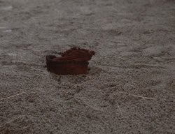 extant_XenaWarriorPrincess_3x02-BeenThereDoneThat_01412