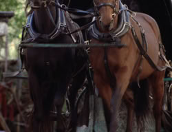 extant_XenaWarriorPrincess_3x02-BeenThereDoneThat_01413