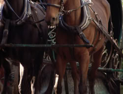 extant_XenaWarriorPrincess_3x02-BeenThereDoneThat_01414