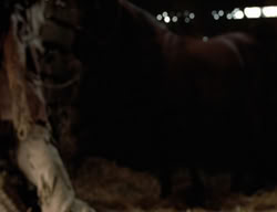 extant_XenaWarriorPrincess_3x02-BeenThereDoneThat_02536