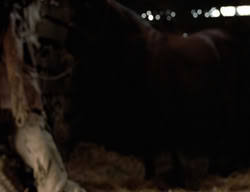 extant_XenaWarriorPrincess_3x02-BeenThereDoneThat_02537